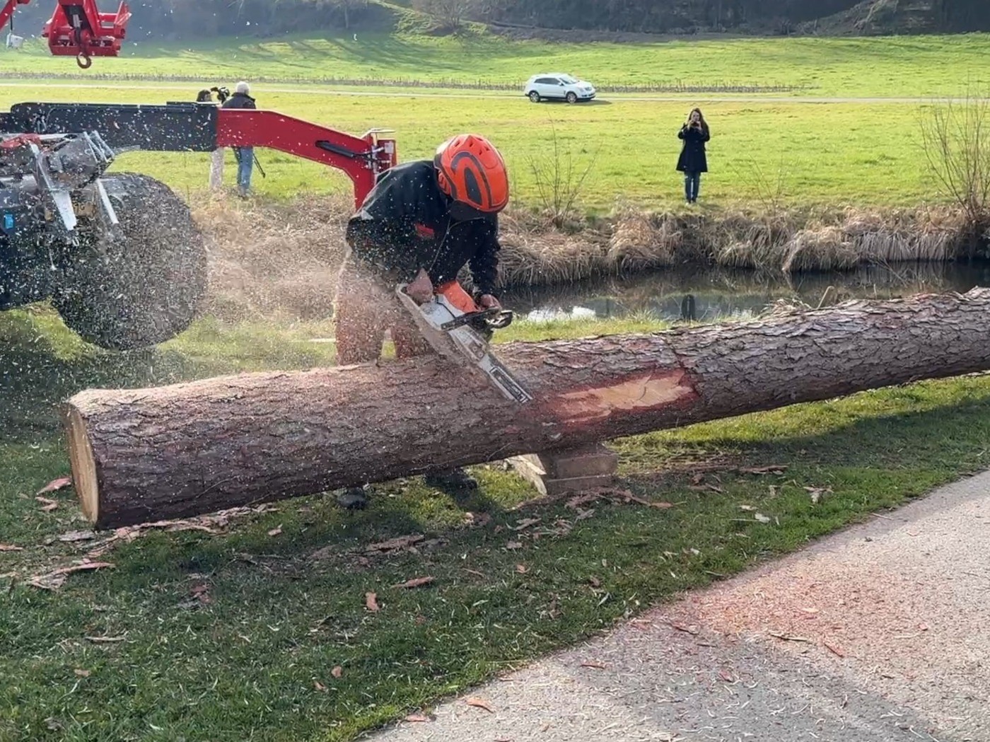 20250320 Storch 05.jpg